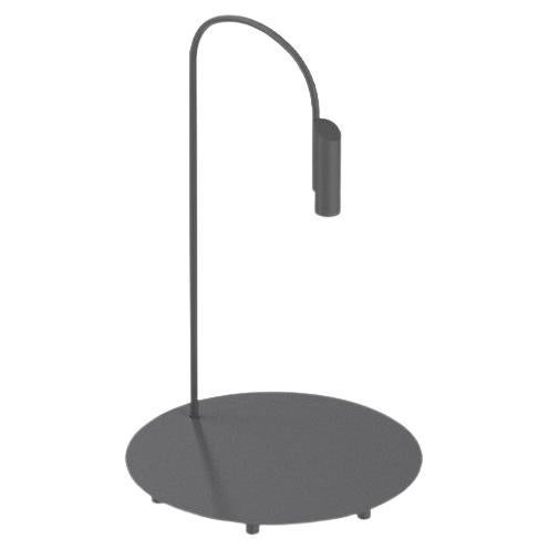 Flos Caule 2700K Model 1 Outdoor Floor Lamp in Anthracite with Regular Shade For Sale
