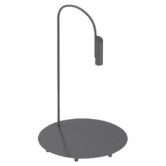 Lampadaire d'extérieur Flos Caule 2700K Modèle 1 en anthracite avec abat-jour régulier