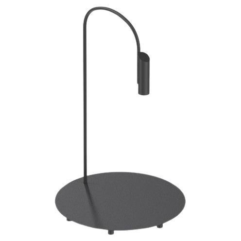 Flos Caule 2700K Model 1 Outdoor Floor Lamp in Black with Regular Shade For Sale