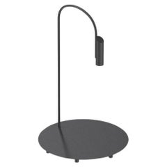 Flos Caule 2700K Model 1 Outdoor Floor Lamp in Black with Regular Shade