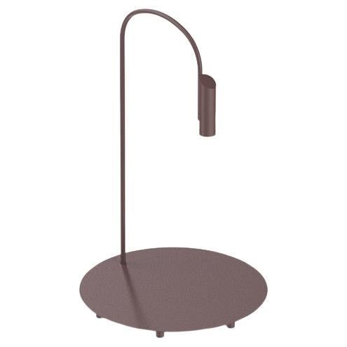 Flos Caule 2700K Model 1 Outdoor Floor Lamp in Deep Brown with Regular Shade For Sale