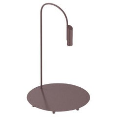 Flos Caule 2700K Model 1 Outdoor Floor Lamp in Deep Brown with Regular Shade