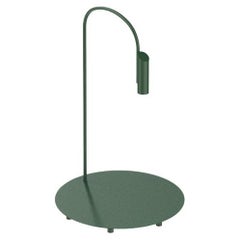 Flos Caule 2700K Model 1 Outdoor Floor Lamp in Forest Green with Regular Shade