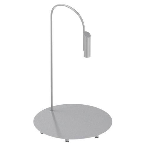 Flos Caule 2700K Model 1 Outdoor Floor Lamp in Grey with Regular Shade