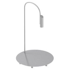 Lampadaire d'extérieur Flos Caule 2700K Modèle 1 en gris avec abat-jour régulier