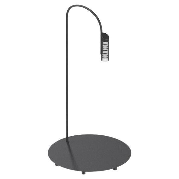 Flos Caule 2700K Model 2 Outdoor Floor Lamp in Black with Nest Shade For Sale