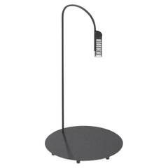 Flos Caule 2700K Model 2 Outdoor Floor Lamp in Black with Nest Shade