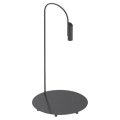 Lampadaire d'extérieur Flos Caule 2700K Model 2 en noir avec abat-jour régulier