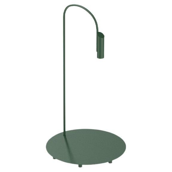 Flos Caule 2700K Model 2 Outdoor Floor Lamp in Forest Green with Regular Shade For Sale