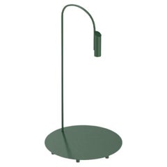 Flos Caule 2700K Model 2 Outdoor Floor Lamp in Forest Green with Regular Shade
