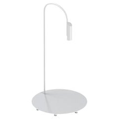Flos Caule 2700K Model 2 Outdoor Floor Lamp in White with Regular Shade