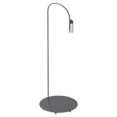 Flos Caule 2700K Model 3 Outdoor Floor Lamp in Anthracite with Nest Shade