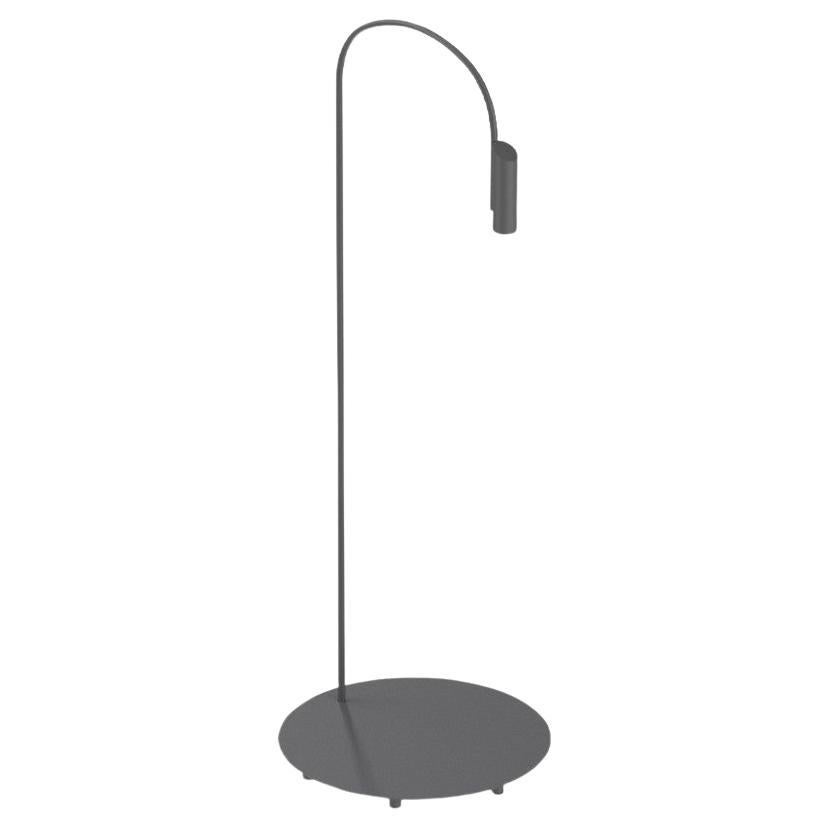 Flos Caule 2700K Model 3 Outdoor Floor Lamp in Anthracite with Regular Shade For Sale