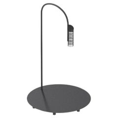 Flos Caule 3000K Model 1 Outdoor Floor Lamp in Black with Nest Shade