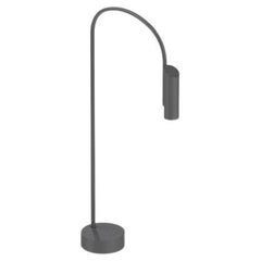 Petite lampe à base anthracite 2700 carats Flos Caule Bollard avec abat-jour régulier