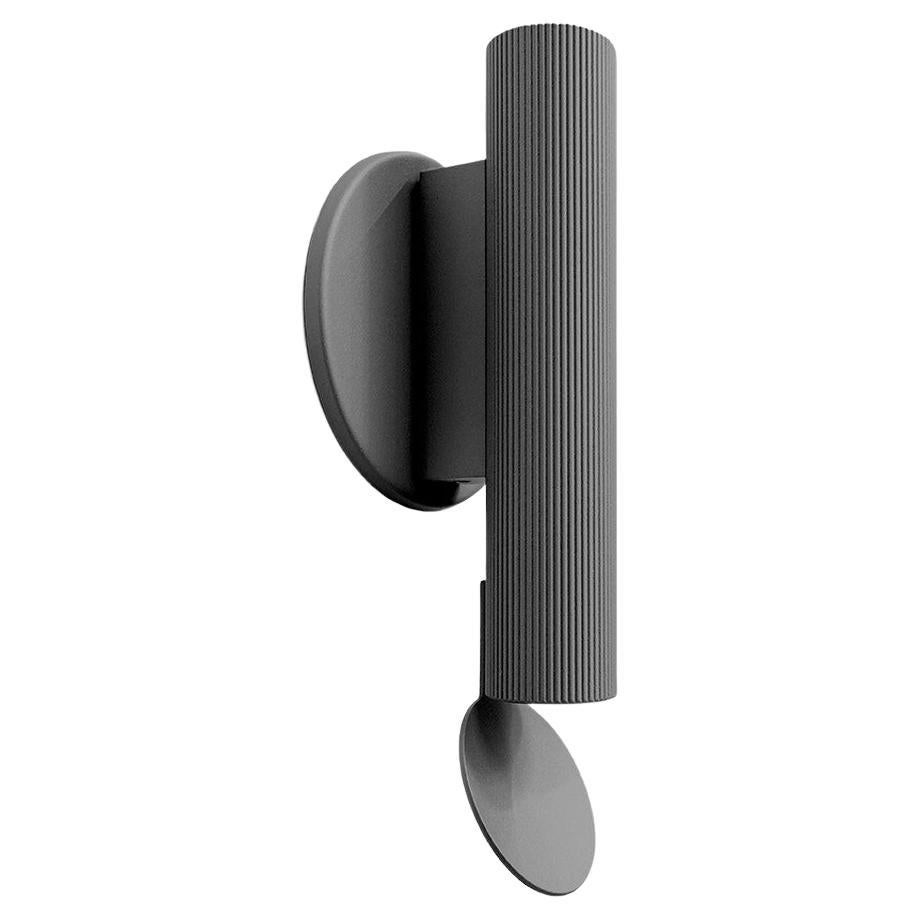 Flos Flauta Riga Small Indoor/Outdoor Wall Sconce in Anthracite For Sale