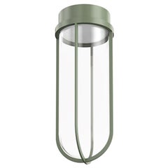 Flos In Vitro 2700K 0-10V Plafoniera LED in verde pallido di Philippe Starck