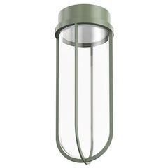 Flos In Vitro 2700K 0-10V LED Ceiling Light in Pale Green by Philippe Starck