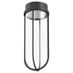 Flos In Vitro 2700K LED Ceiling Light in Black by Philippe Starck