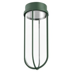 Flos In Vitro 2700K LED Ceiling Light in Forest Green by Philippe Starck