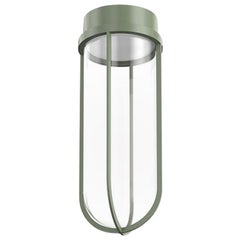 Flos In Vitro 2700K LED Ceiling Light in Pale Green by Philippe Starck