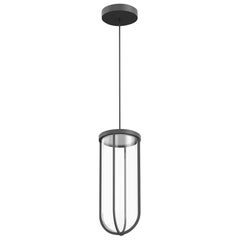 Flos In Vitro 2700K LED Suspension Lamp in Anthracite by Philippe Starck