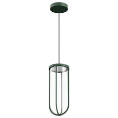 Flos In Vitro 2700K LED Suspension Lamp in Forest Green by Philippe Starck