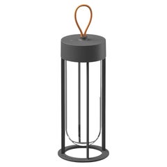 Flos In Vitro 2700K Unplugged Portable Lamp in Anthracite by Philippe Starck