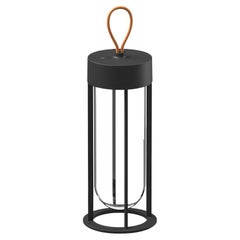 Flos In Vitro 2700K Unplugged Portable Lamp in Black by Philippe Starck