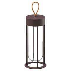 Flos In Vitro 2700K Unplugged Portable Lamp in Dark Brown by Philippe Starck