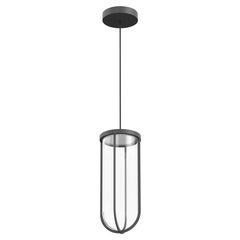 Flos In Vitro 3000K 0-10V LED Suspension Lamp in Anthracite by Philippe Starck