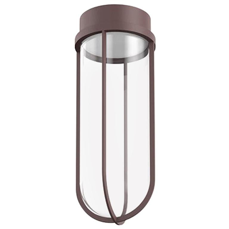 Flos In Vitro 3000K LED Ceiling Light in Deep Brown by Philippe Starck For Sale