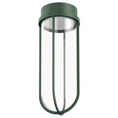 Flos In Vitro 3000K LED Ceiling Light in Forest Green by Philippe Starck