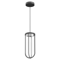Flos In Vitro 3000K LED Suspension Lamp in Anthracite by Philippe Starck