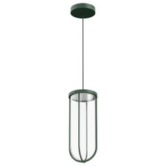 Flos In Vitro 3000K LED Suspension Lamp in Forest Green by Philippe Starck