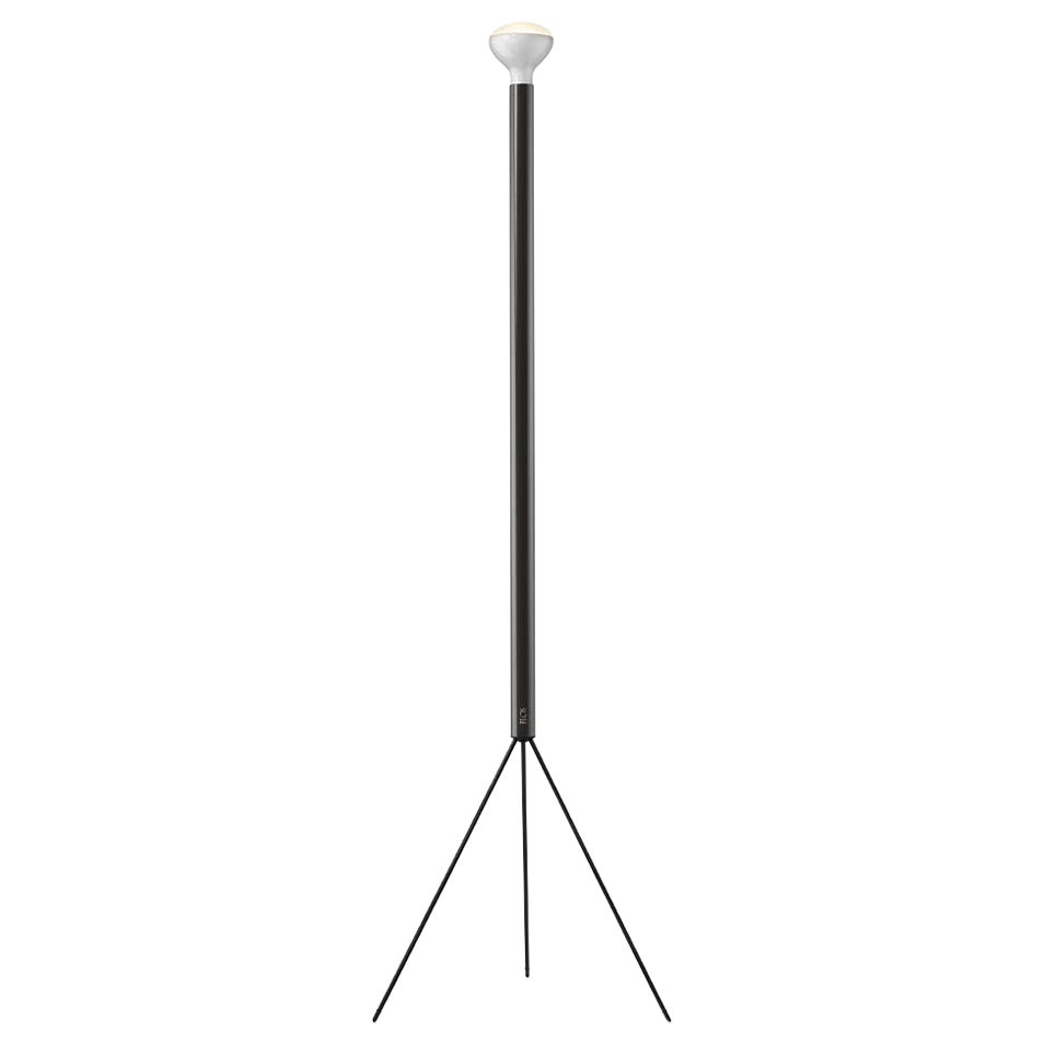 Flos Luminator Stehlampe in Anthrazit mit Eisen- und Metallrahmen