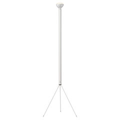 Flos Luminator Floor Lamp in White with Iron and Metal Frame