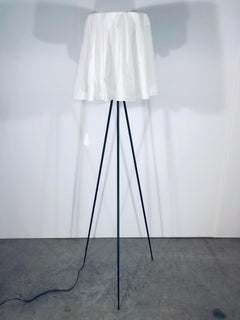 Flos “Rosy Angelis” Floor Lamp by Philippe Starck