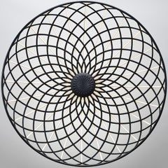 Flos Skynest Suspension Light in Anthracite