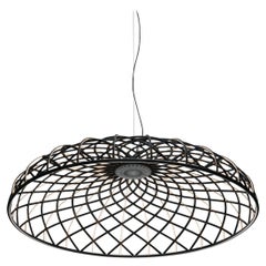 Flos Skynest Suspension Light in Anthracite