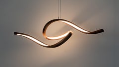 Flow Sculptural Pendant Lamp by Giulio D'Amore
