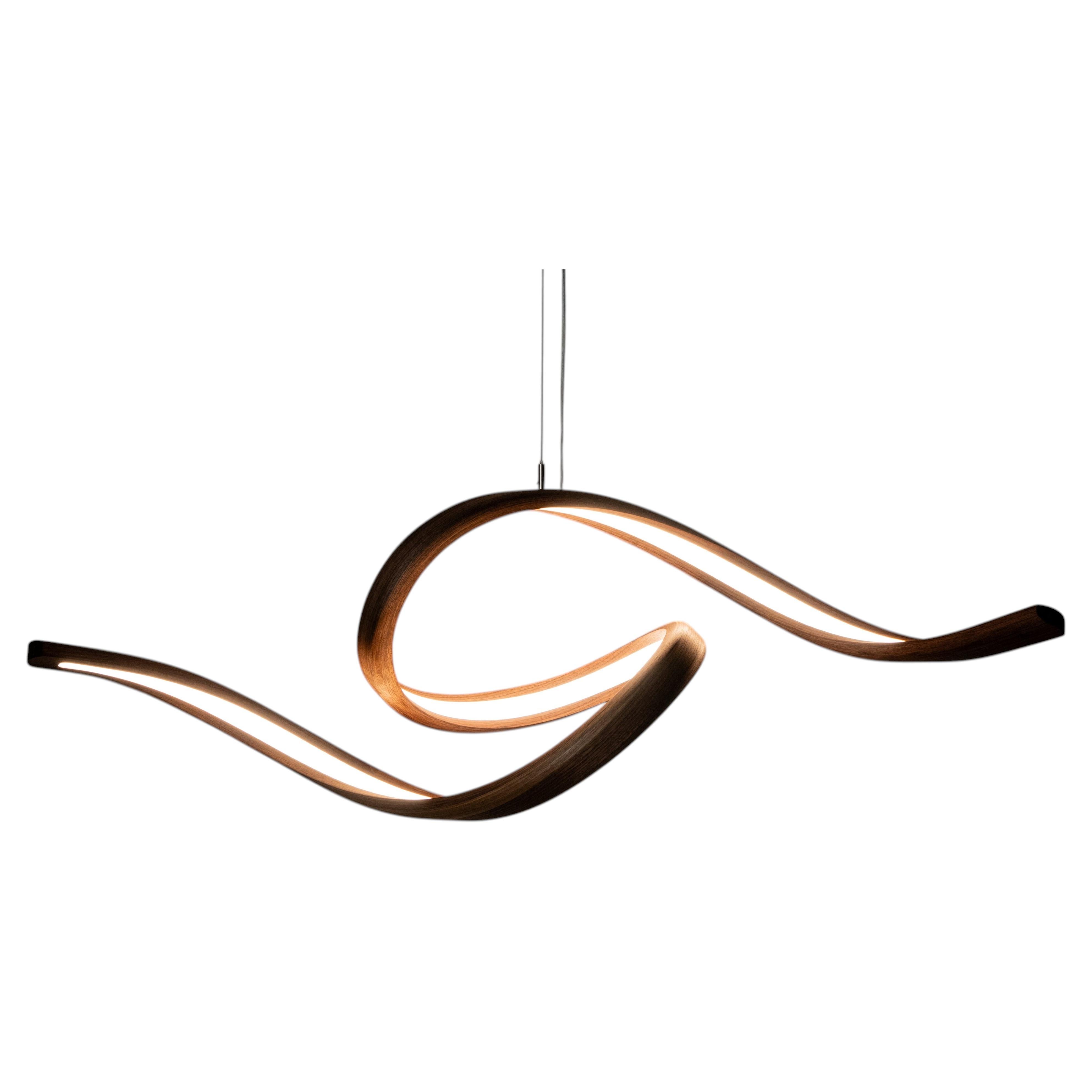 Flow Sculptural Pendant Lamp by Giulio D'Amore