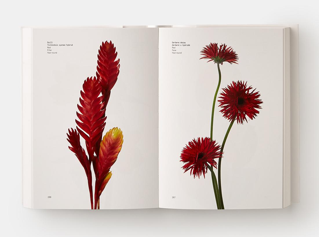 Guide des couleurs des fleurs Neuf - En vente à New York, NY
