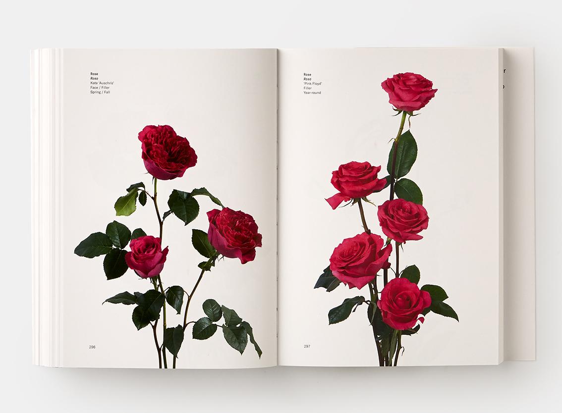 XXIe siècle et contemporain Guide des couleurs des fleurs en vente
