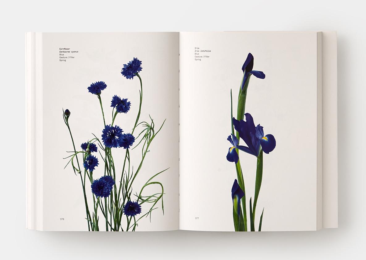 Papier Guide des couleurs des fleurs en vente
