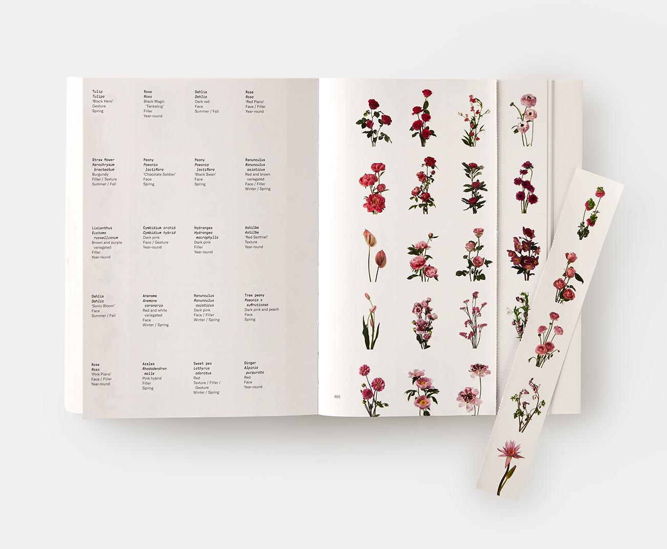 Guide des couleurs des fleurs en vente 1