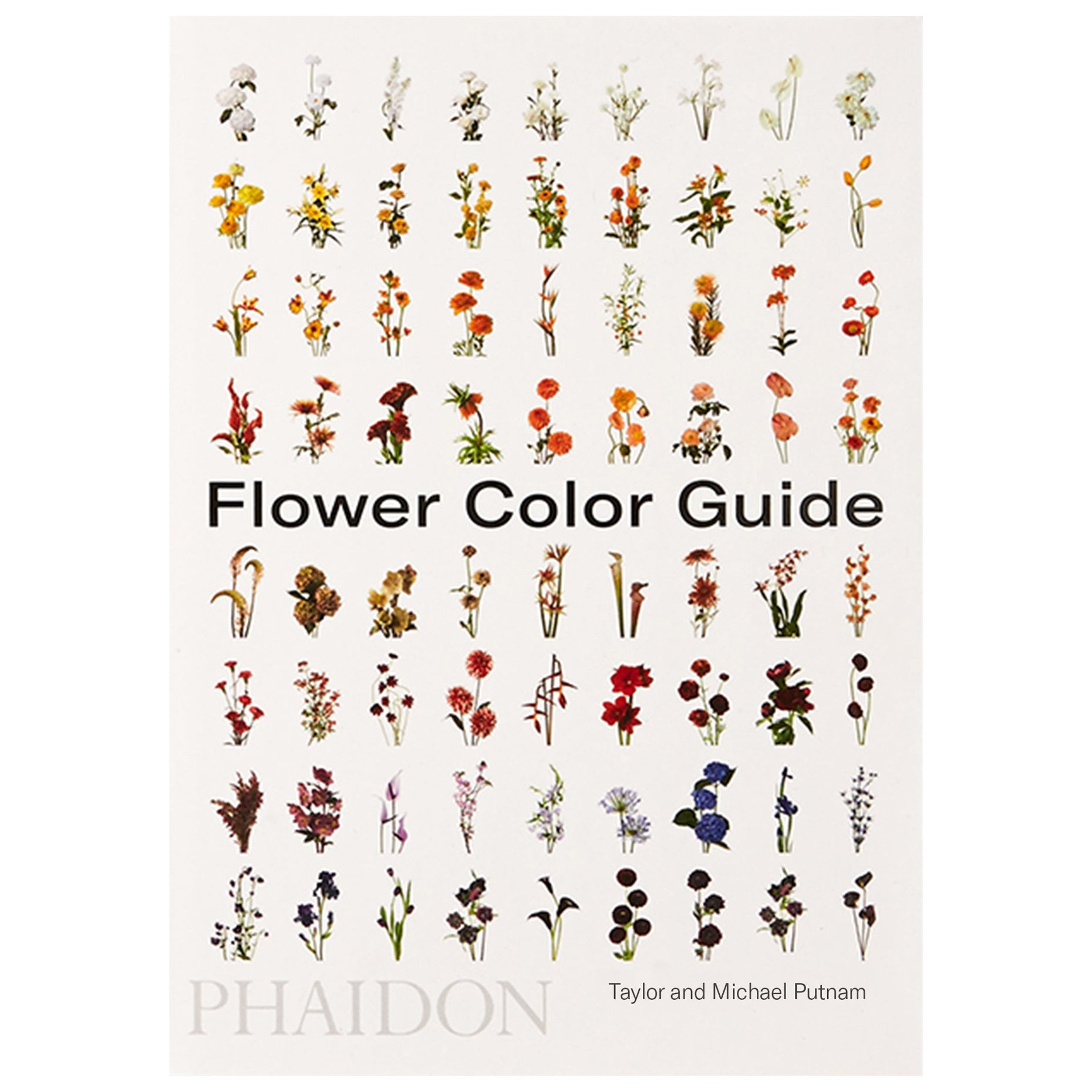 Guida ai colori dei fiori