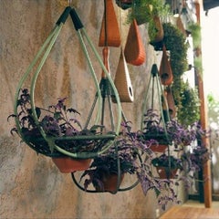 Anelli Jardinières Fiore Brasiliano Contemporaneo di Lattoog