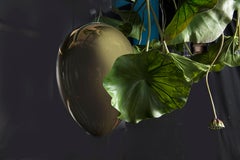 Flower Power Lotus with Eggs in glass Chandelier, cm h 100 150x150, Italy