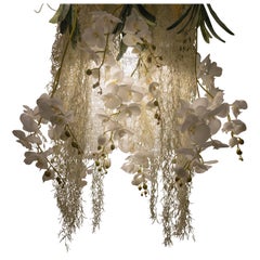 Flower Power Phalenopsis Chandelier, cm h 80 65x65, Italy